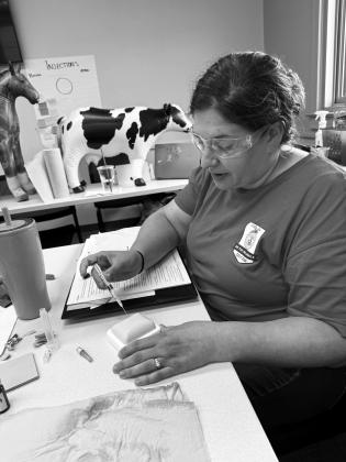 GPS Ag instructor and FFA Advisor AnnaLisa Mosel recently completed a veterinary science training institute at the University of Nebraska- Lincoln campus. She will bring what she learned back to the classroom in Gothenburg this fall. (Courtesy photos)