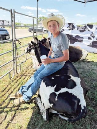 ABOVE: For most 4-H kids, their animals are much more than just for show at the county fair. They become friends. Here Gus Barnes takes a break with his 'friend'. BELOW: Owen Fairley spends time getting his animal ready for the beef show.