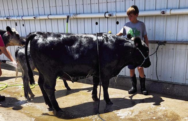 Scenes From Dawson County Fair 2026