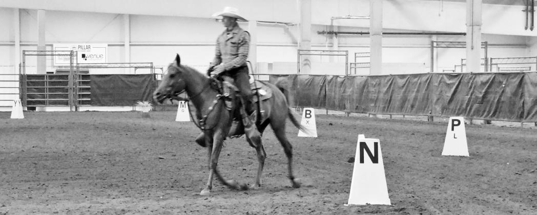 Locals Fare Well at Cowboy Dressage Show in Lincoln