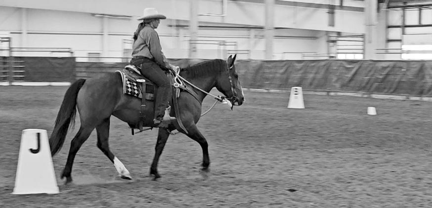 Locals Fare Well at Cowboy Dressage Show in Lincoln