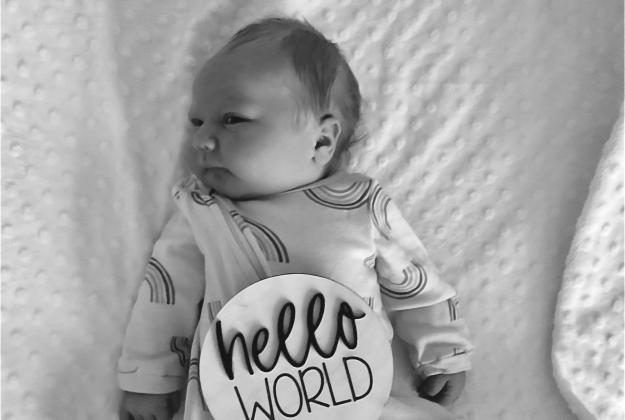 Births