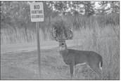 Hunting Rights And Land Leases