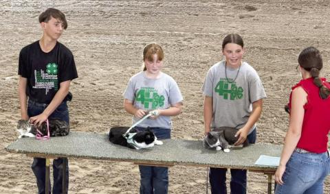 Tanner Fairley (far left) shows his cat, Grace, at the Dawson County Fair.