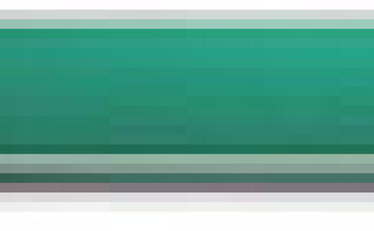 Alt Text for Image