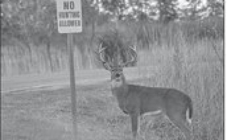Hunting Rights And Land Leases