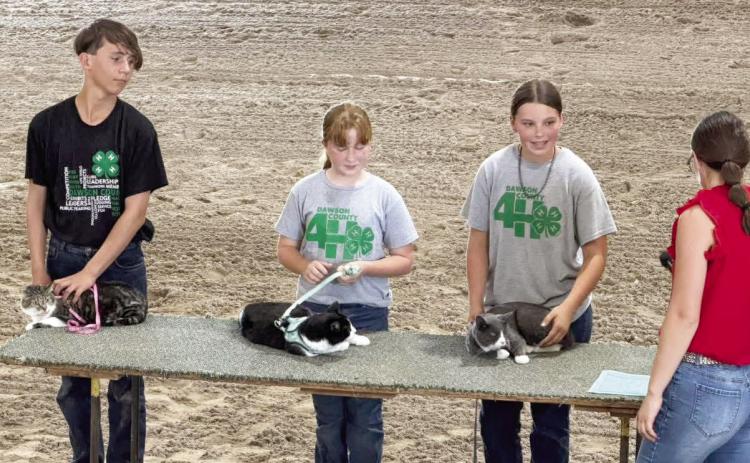 Tanner Fairley (far left) shows his cat, Grace, at the Dawson County Fair.