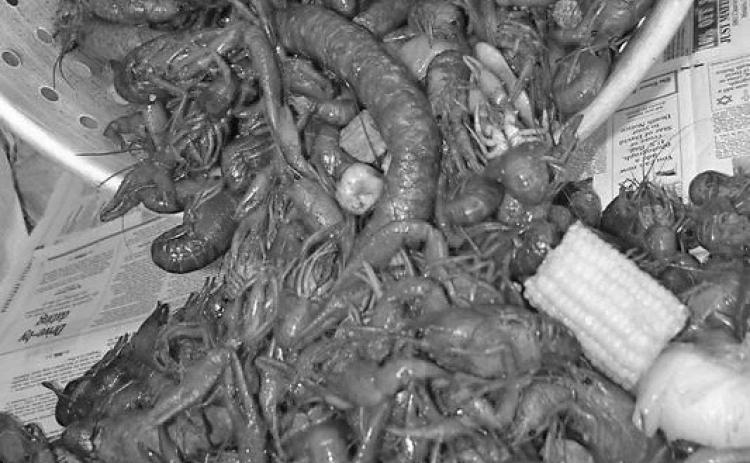 Don’t Let The Name Fool You – Mudbugs Are Delicious