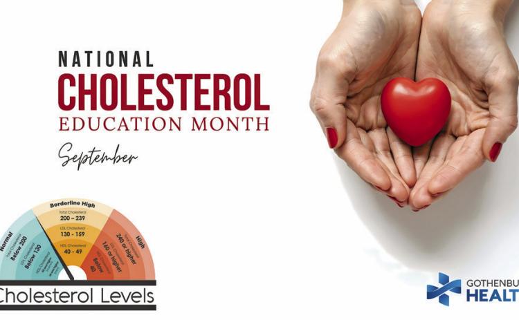 Cholesterol Education Month Highlights Importance of Testing